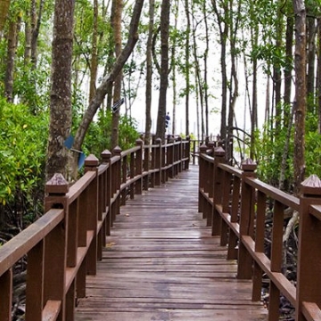 Tanjung Piai National Park 